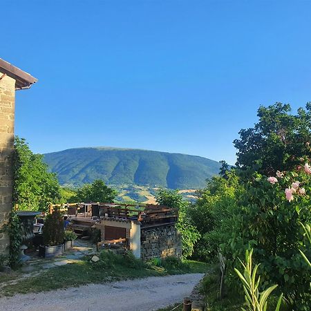 Le Ginestre Guesthouse Assisi Luaran gambar