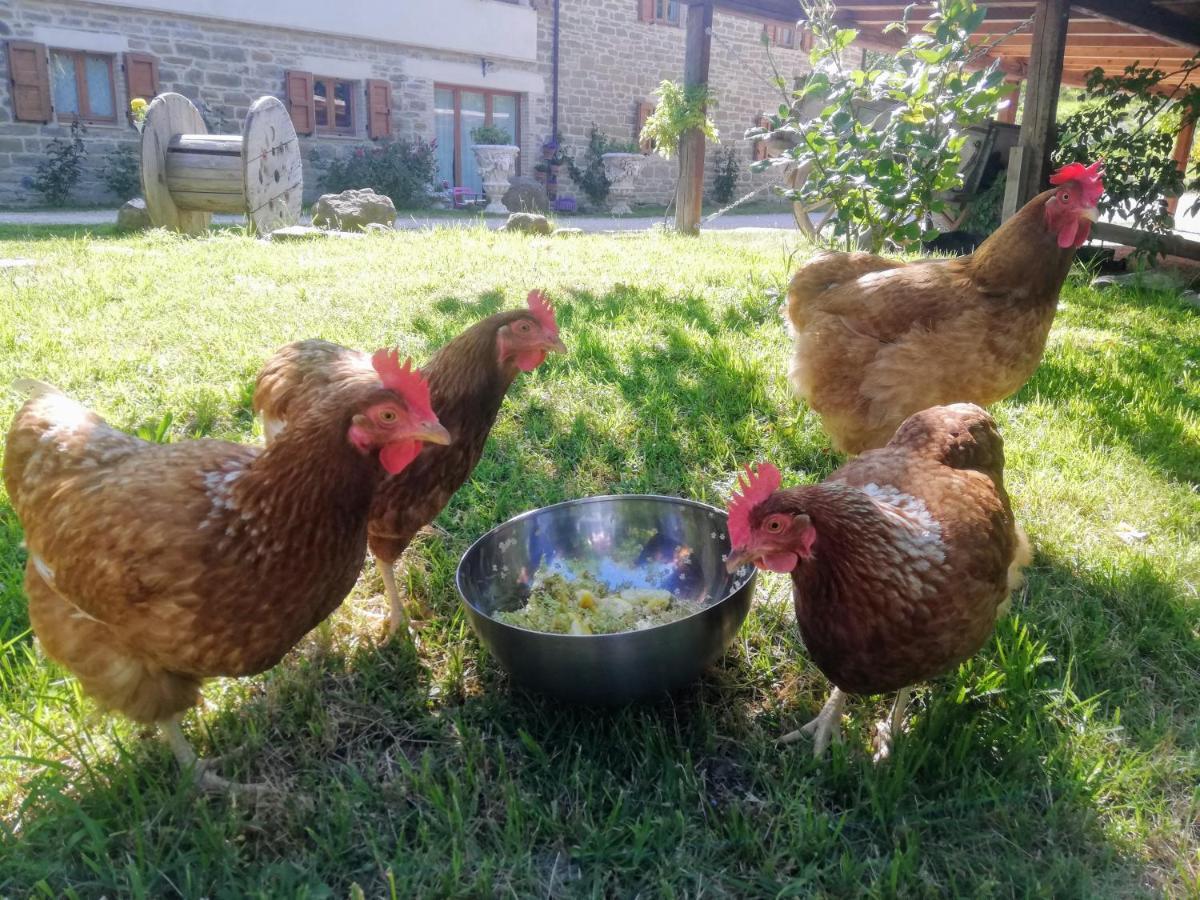 Le Ginestre Guesthouse Assisi Luaran gambar