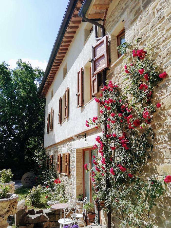 Le Ginestre Guesthouse Assisi Luaran gambar